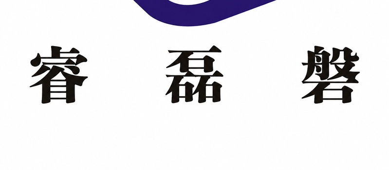 上海睿磊磐网络科技有限公司